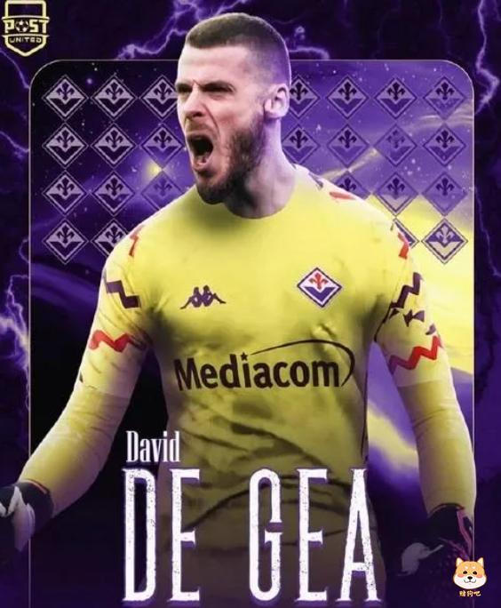 七大联赛最强门神!